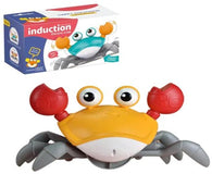 SCUTTLE CRAB