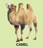 ANIMAL SPARKLE BOARD BOOK