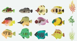 TROPICAL FISH 12PC