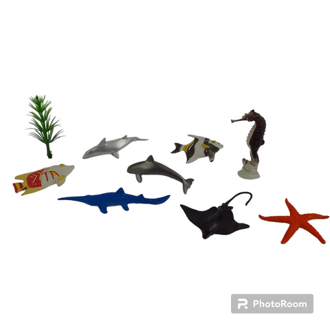 MARINE ANIMALS – Free Range Kids ZA