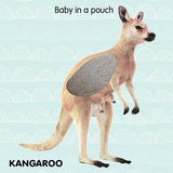 JUNGLE ANIMALS - TOUCH & FEEL