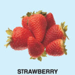 FRUIT - SPARKLE BOARD BOOK
