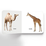 ANIMAL BOARD BOOK