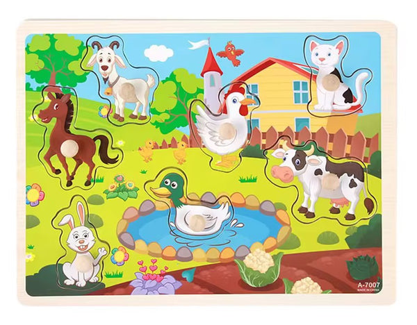 WOODEN ASSORTED PEG PUZZLES