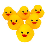VINYL DUCKS