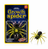 GROW SPIDER