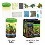 DINO TERRARIUM