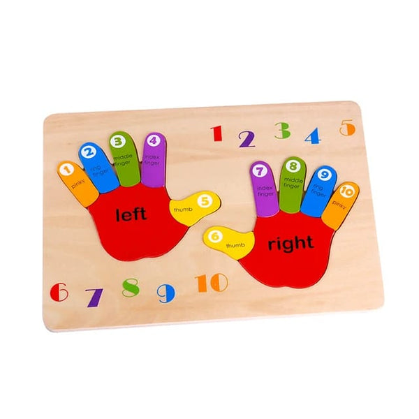 HAND PUZZLE - TOOKY TOY