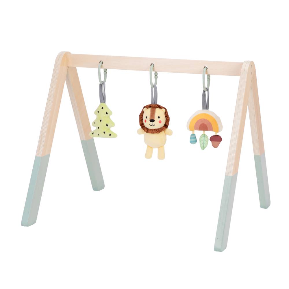 Baby Gym Tooky Toy Free Range Kids Za