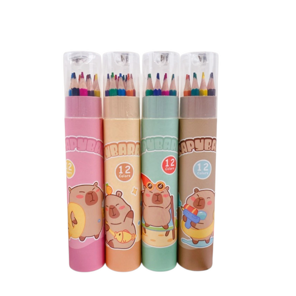 PENCIL CRAYONS - 12PC