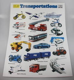 TRANSPORT